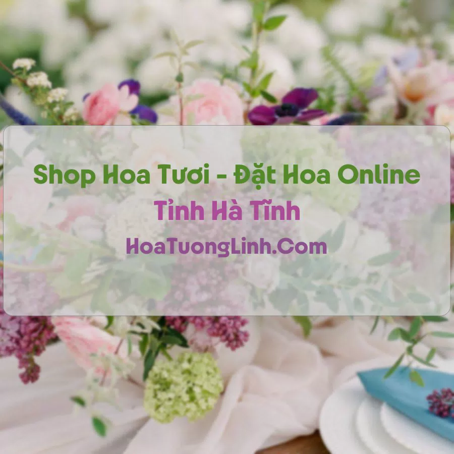 Shop Hoa Tươi Tại Hà Tĩnh - Điện Hoa Tận Nơi