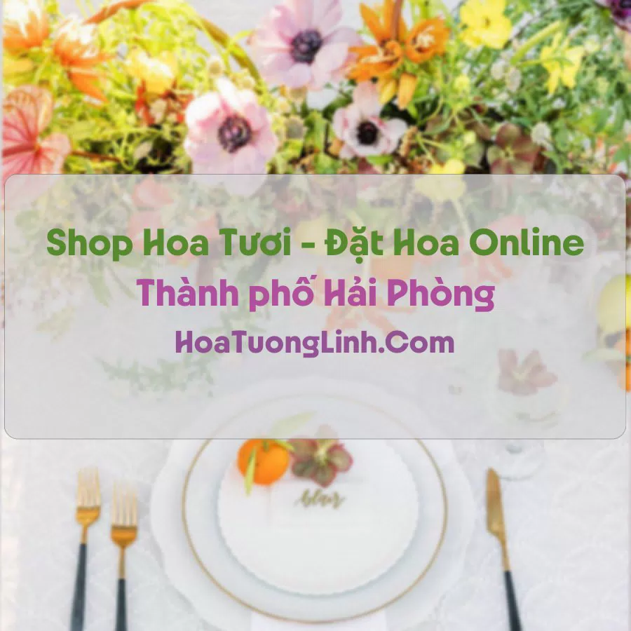 Shop Hoa Tươi Tại Hải Phòng - Điện Hoa Tận Nơi