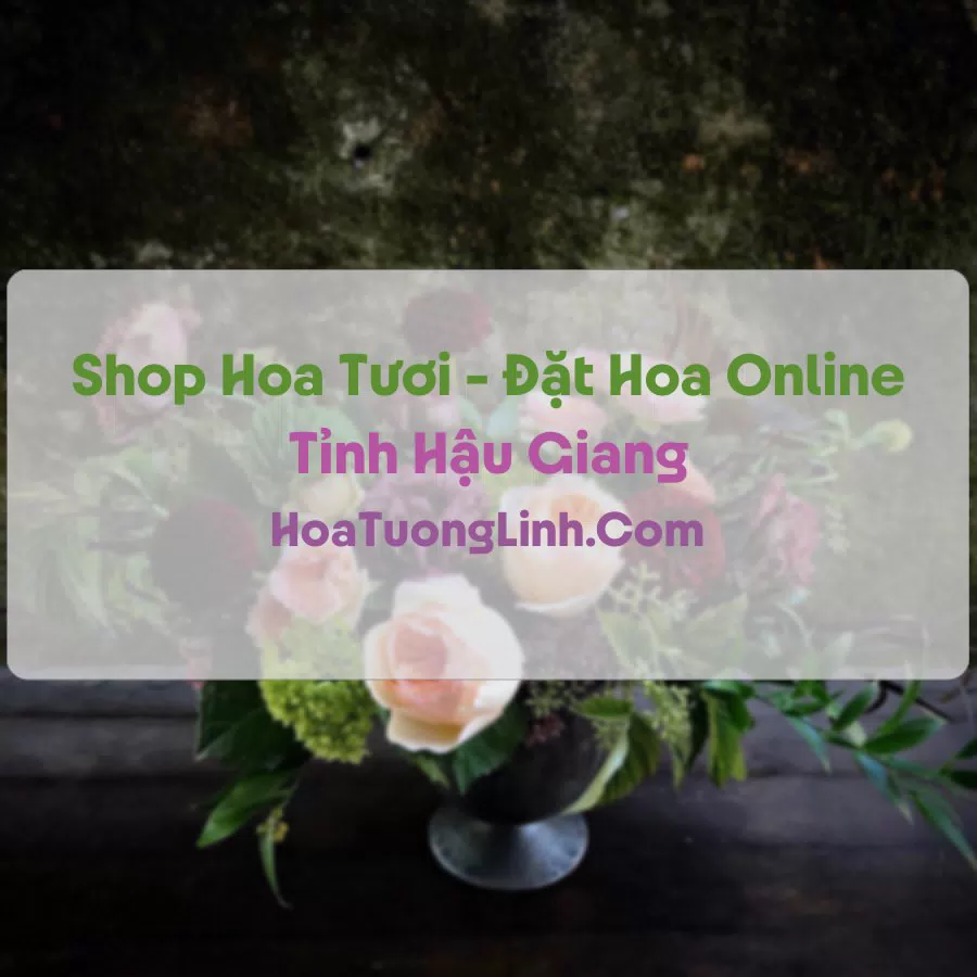Shop Hoa Tươi Tại Hậu Giang - Điện Hoa Tận Nơi
