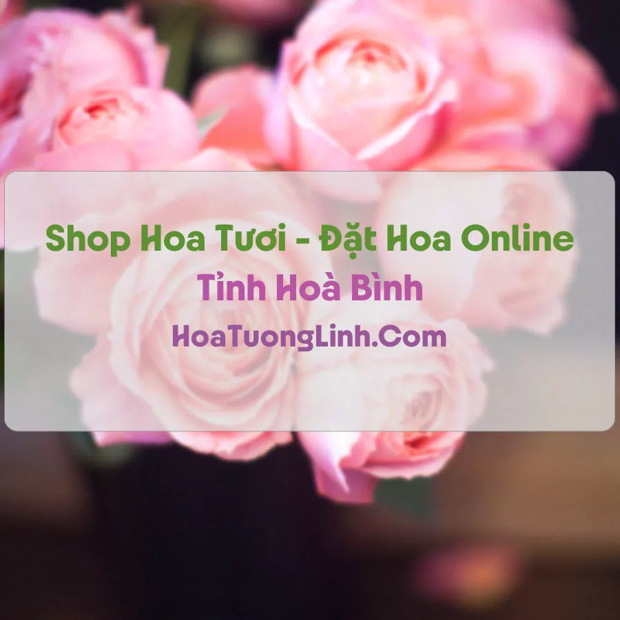 Shop Hoa Tươi Tại Hoà Bình - Điện Hoa Tận Nơi