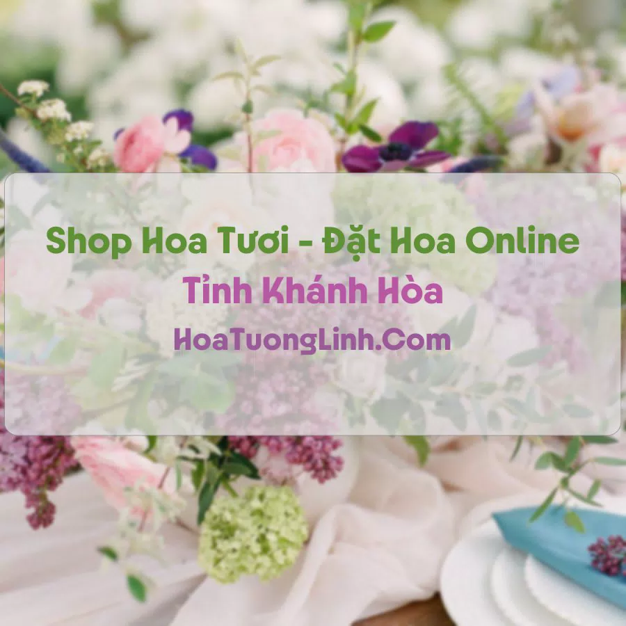 Shop Hoa Tươi Tại Khánh Hòa - Điện Hoa Tận Nơi