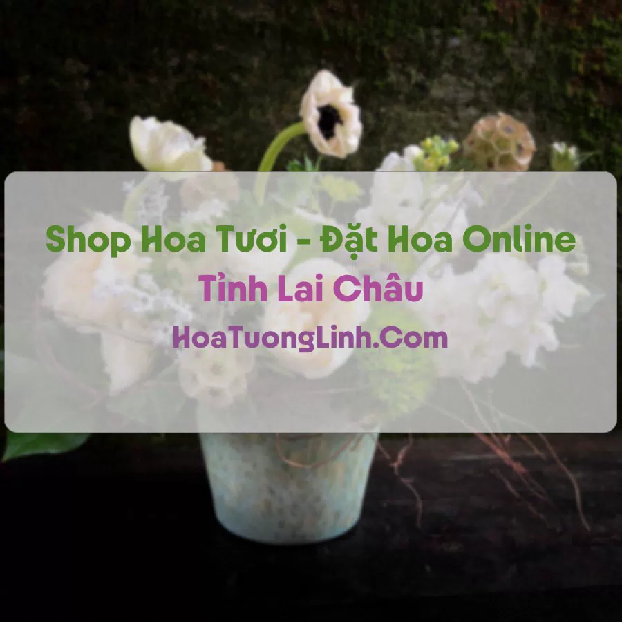 Shop Hoa Tươi Tại Lai Châu - Điện Hoa Tận Nơi