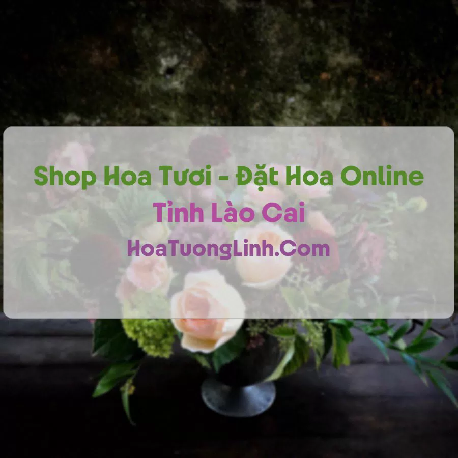 Shop Hoa Tươi Tại Lào Cai - Điện Hoa Tận Nơi