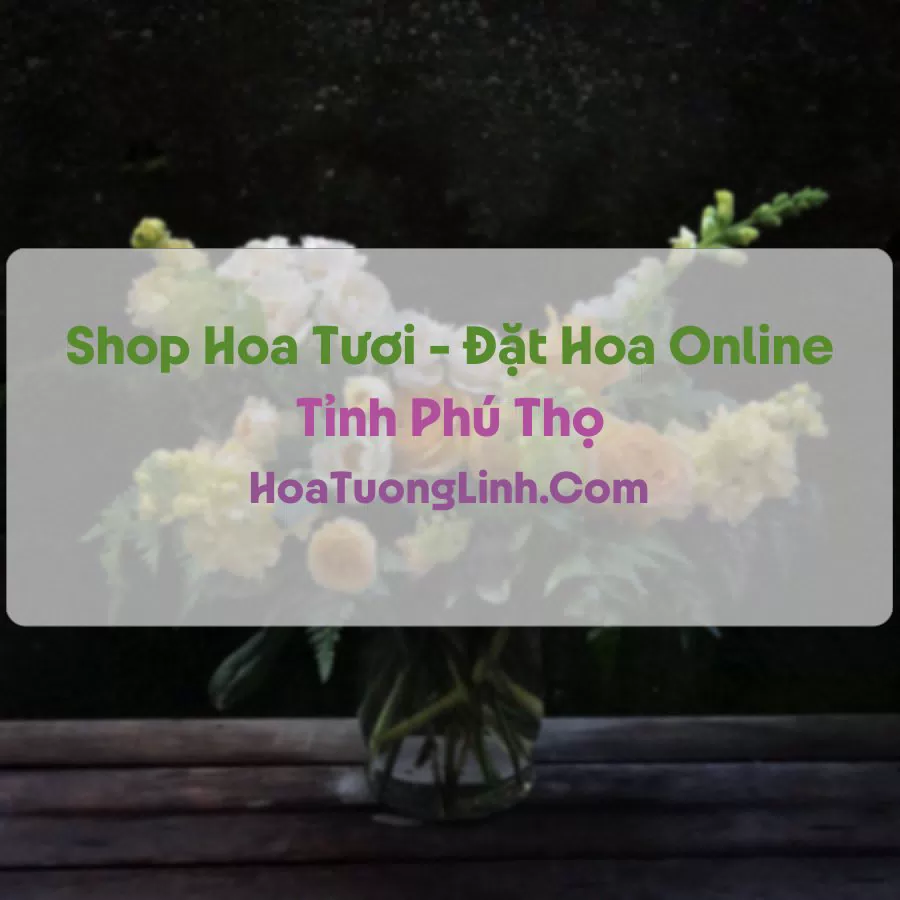 Shop Hoa Tươi Tại Phú Thọ - Điện Hoa Tận Nơi
