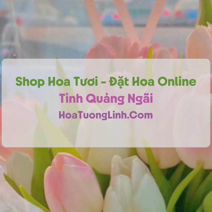 Shop Hoa Tươi Tại Quảng Ngãi - Điện Hoa Tận Nơi