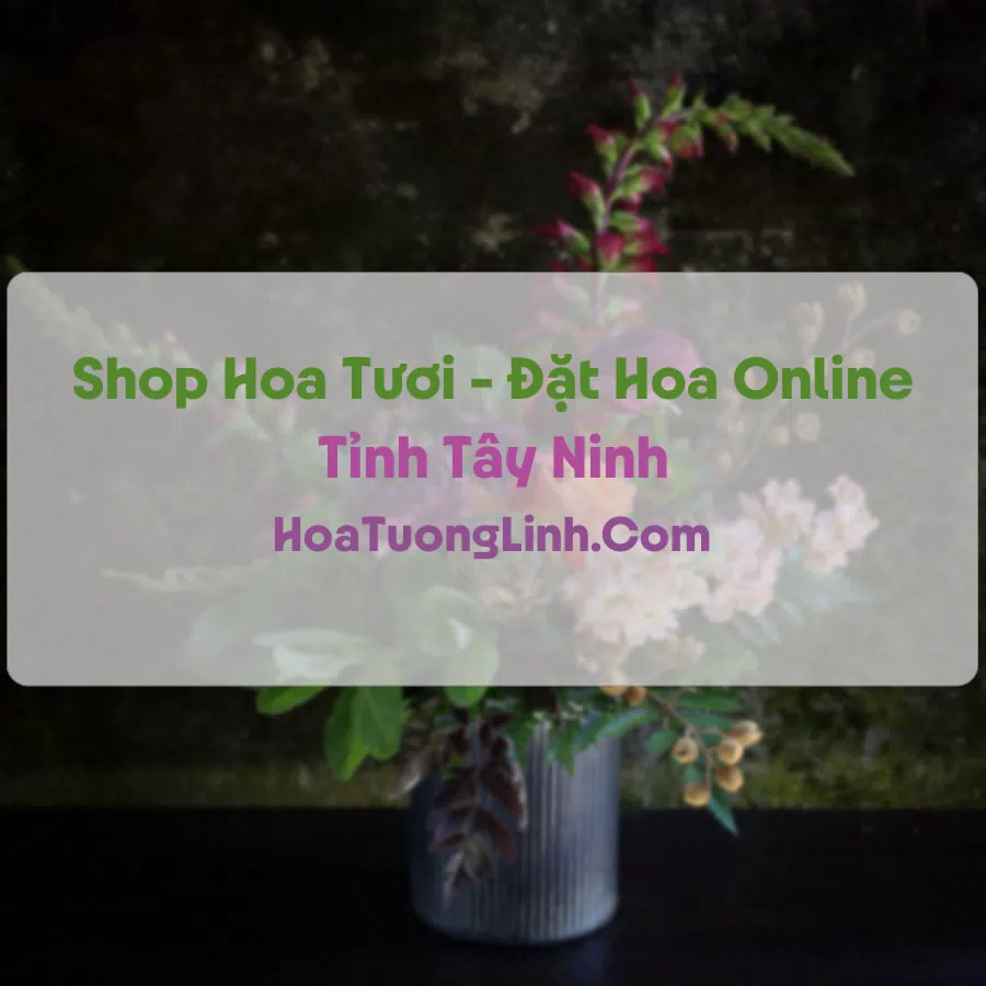 Shop Hoa Tươi Tại Tây Ninh - Điện Hoa Tận Nơi