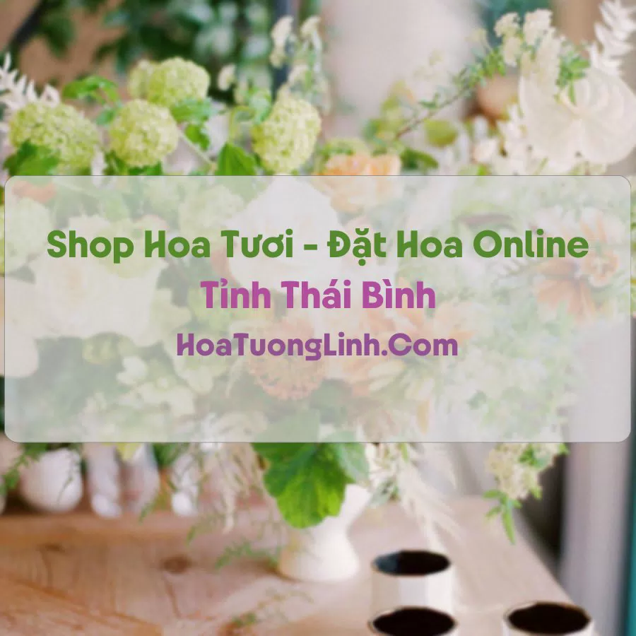 Shop Hoa Tươi Tại Thái Bình - Điện Hoa Tận Nơi