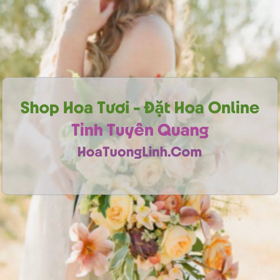 Shop Hoa Tươi Tại Tuyên Quang - Điện Hoa Tận Nơi