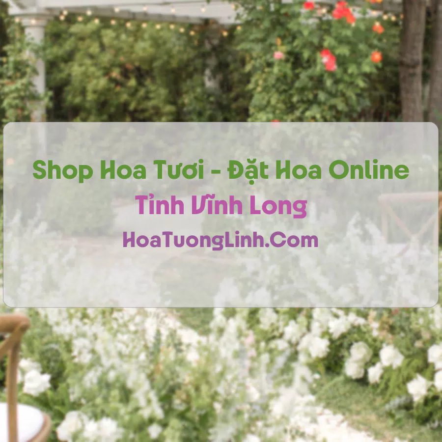 Shop Hoa Tươi Tại Vĩnh Long - Điện Hoa Tận Nơi