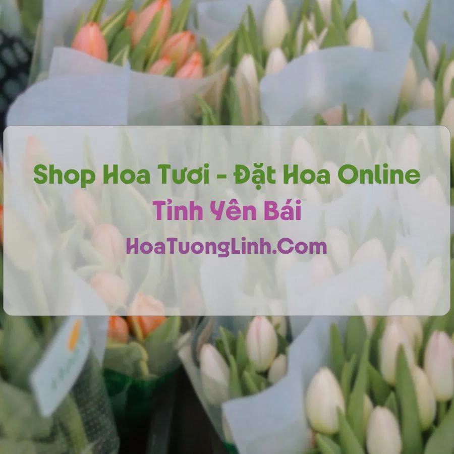 Shop Hoa Tươi Tại Yên Bái - Điện Hoa Tận Nơi