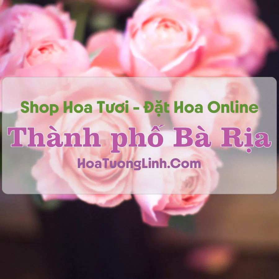Shop Hoa Tươi Thành phố Bà Rịa – Bà Rịa - Vũng Tàu