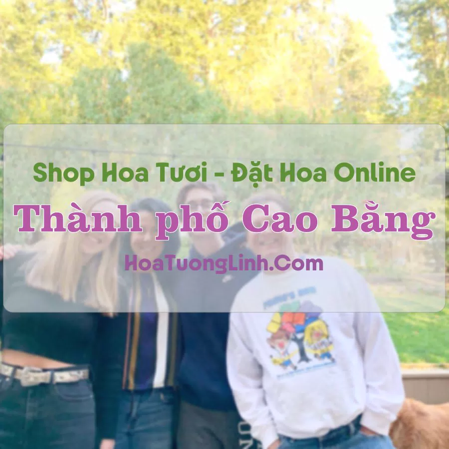Shop Hoa Tươi Thành phố Cao Bằng – Cao Bằng