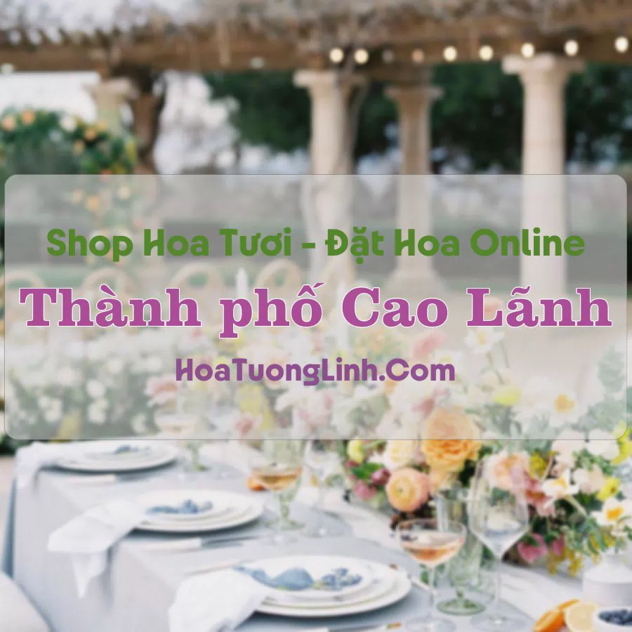 Shop Hoa Tươi Thành Phố Cao Lãnh – Đồng Tháp