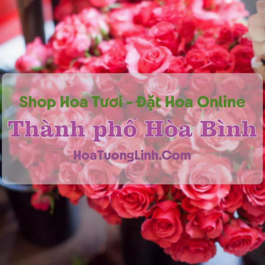 Shop Hoa Tươi Thành Phố Hòa Bình – Hòa Bình