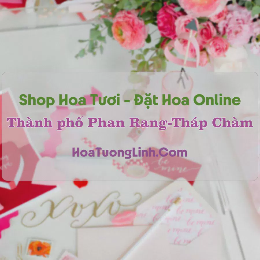 Shop Hoa Tươi Thành phố Phan Rang-Tháp Chàm - Ninh Thuận