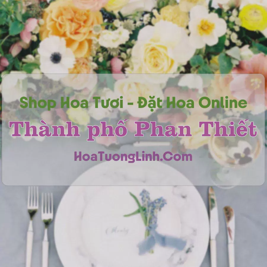 Shop Hoa Tươi Thành phố Phan Thiết - Bình Thuận