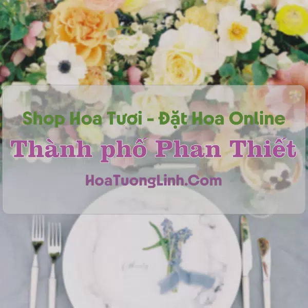 Shop Hoa Tươi Thành phố Phan Thiết - Bình Thuận
