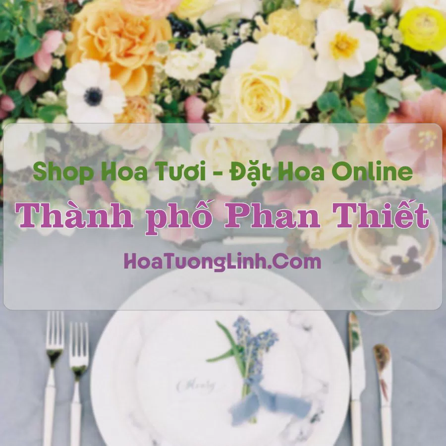 Shop Hoa Tươi Thành phố Phan Thiết – Bình Thuận