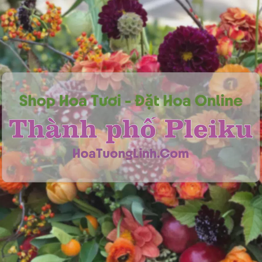 Shop Hoa Tươi Thành phố Pleiku - Gia Lai