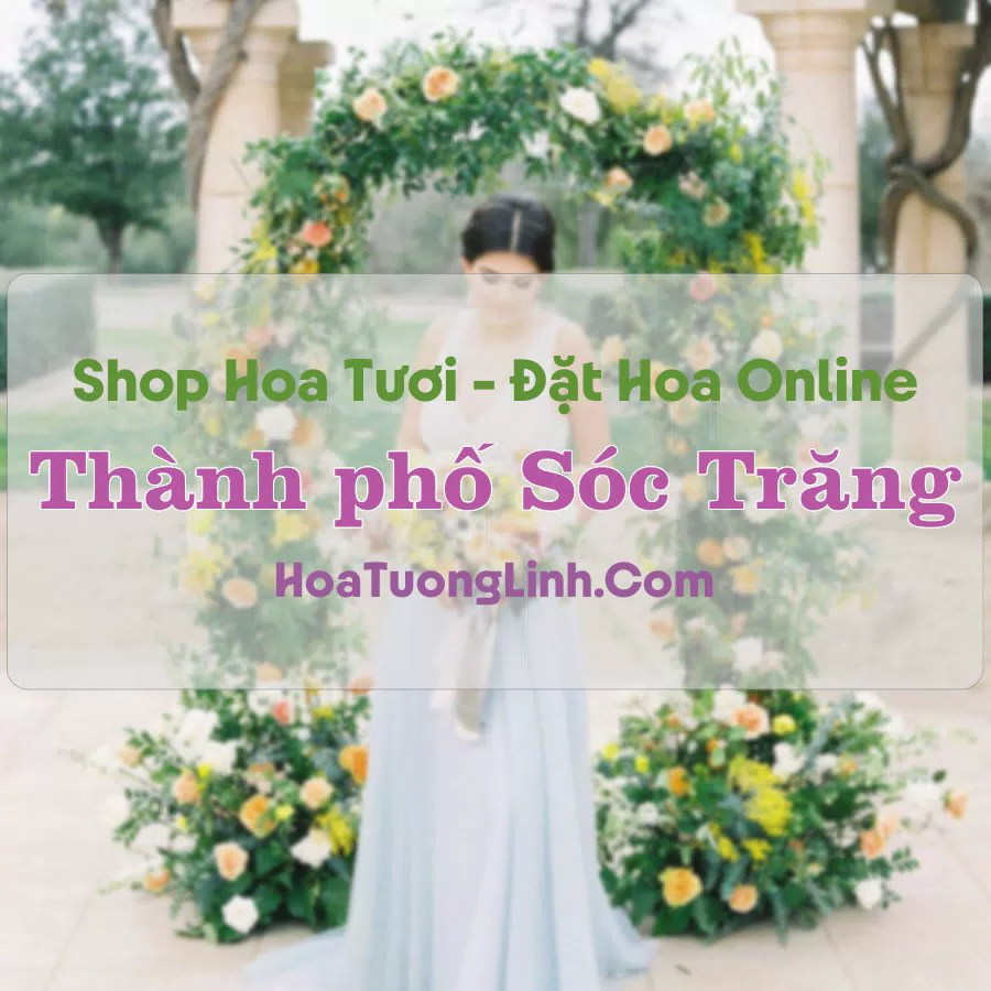 Shop Hoa Tươi Thành Phố Sóc Trăng – Sóc Trăng