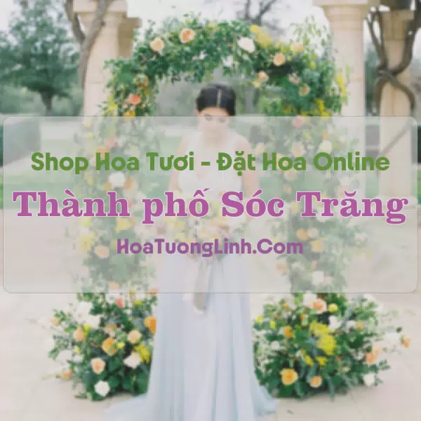 Shop Hoa Tươi Thành Phố Sóc Trăng - Sóc Trăng