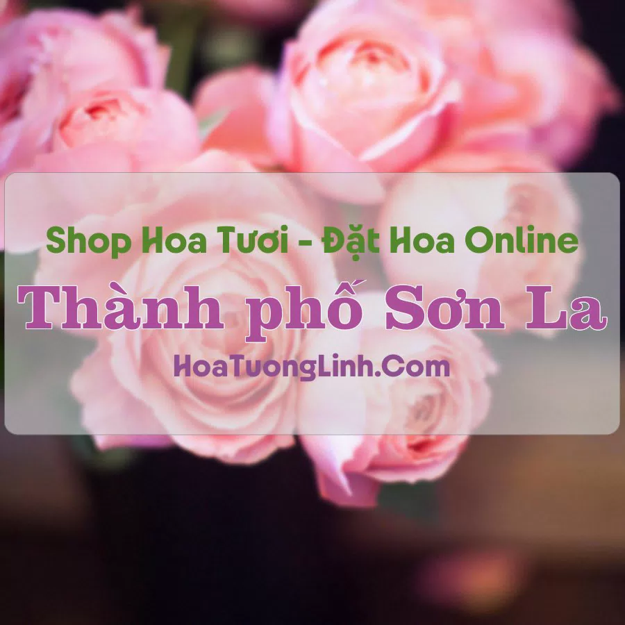 Shop Hoa Tươi Thành Phố Sơn La – Sơn La