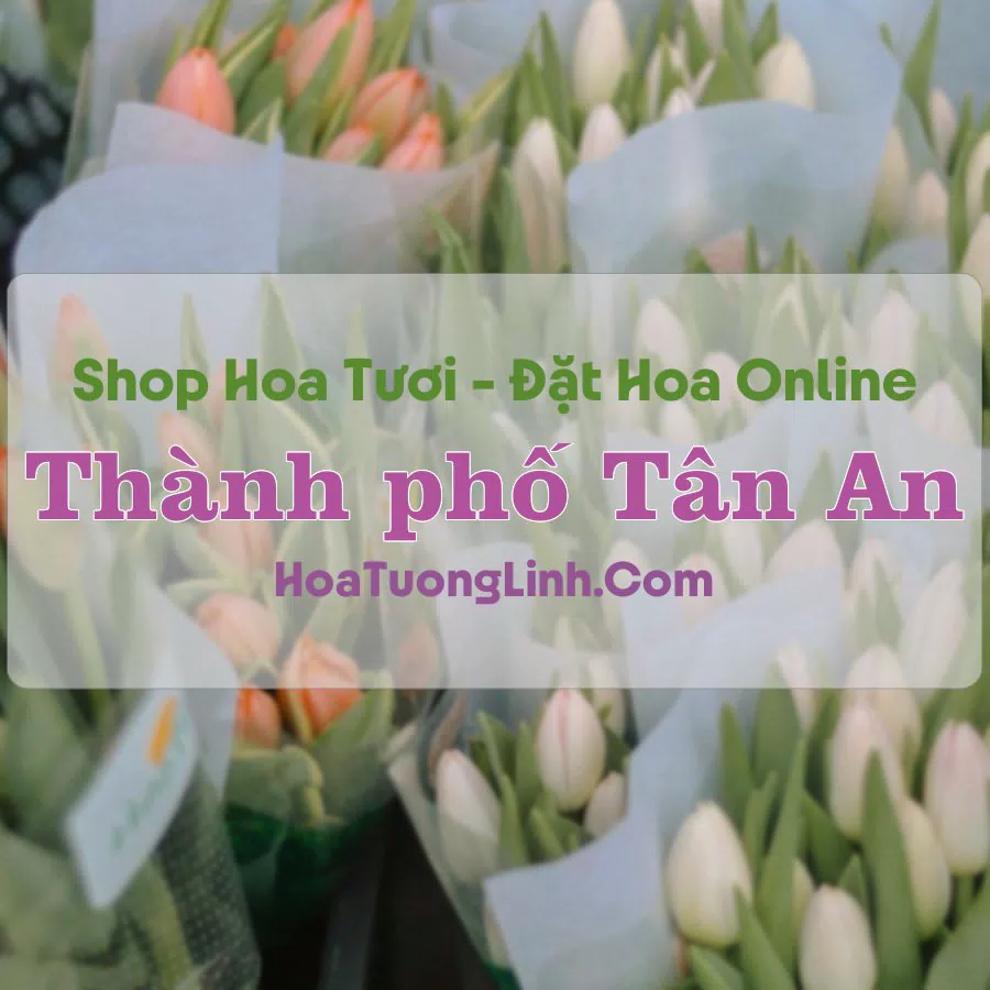Shop Hoa Tươi Thành phố Tân An – Long An