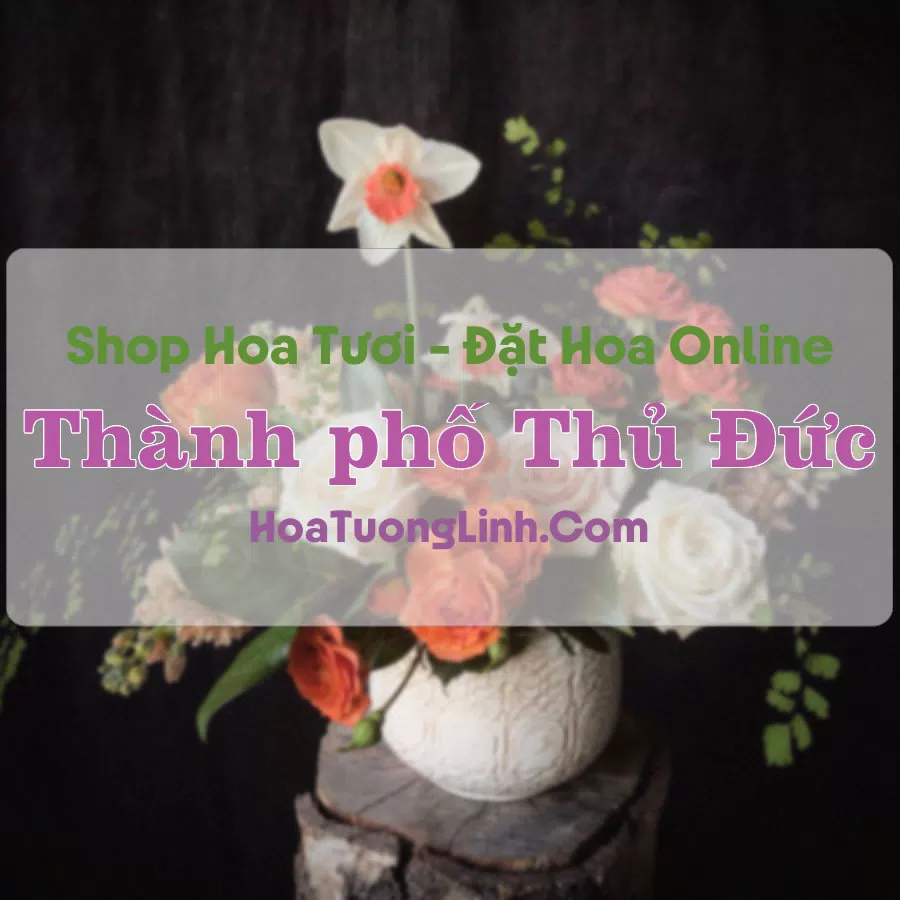 Shop Hoa Tươi Thành phố Thủ Đức – TP.HCM
