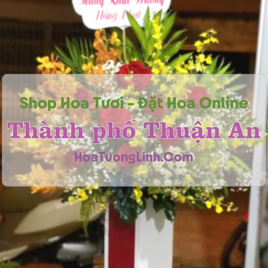 Shop Hoa Tươi TP Thuận An – Bình Dương