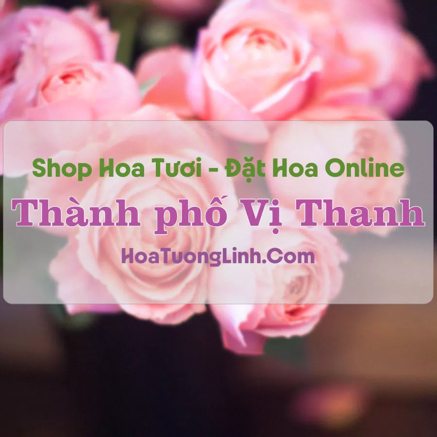 Shop Hoa Tươi Thành Phố Vị Thanh – Hậu Giang