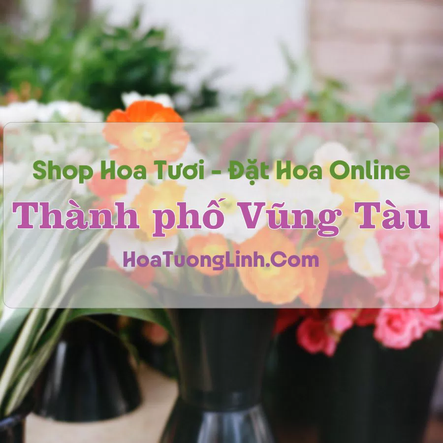 Shop Hoa Tươi TP Vũng Tàu – Bà Rịa Vũng Tàu