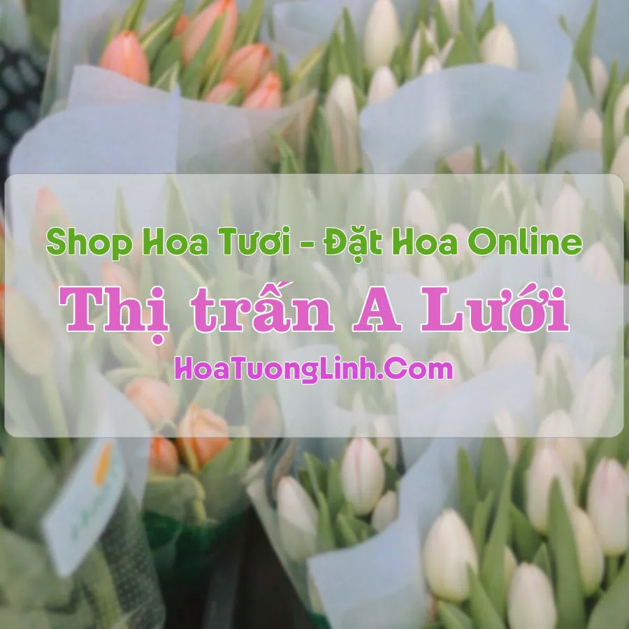 Shop Hoa Tươi Thị trấn A Lưới – Huế