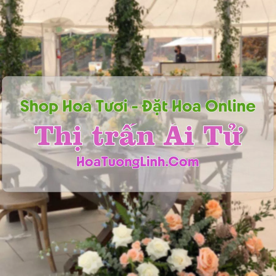 Shop Hoa Tươi Thị trấn Ái Tử – Quảng Trị