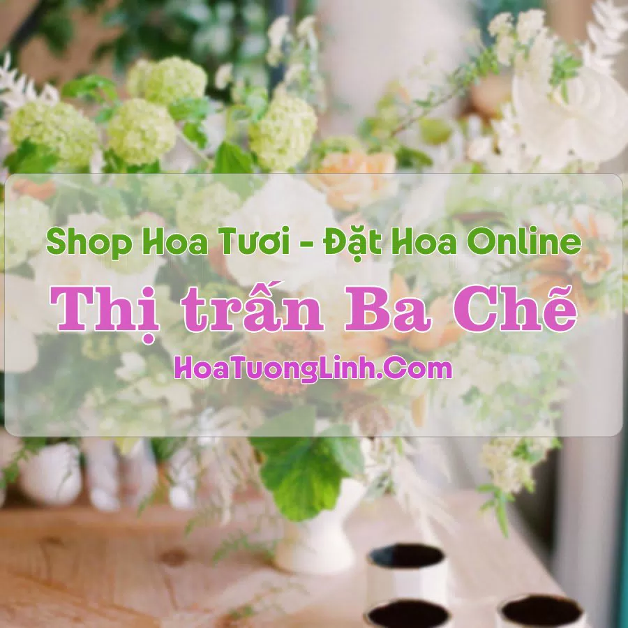 Shop Hoa Tươi Thị Trấn Ba Chẽ – Quảng Ninh