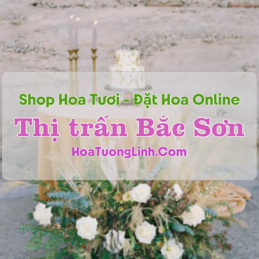 Shop Hoa Tươi Thị Trấn Bắc Sơn – Lạng Sơn