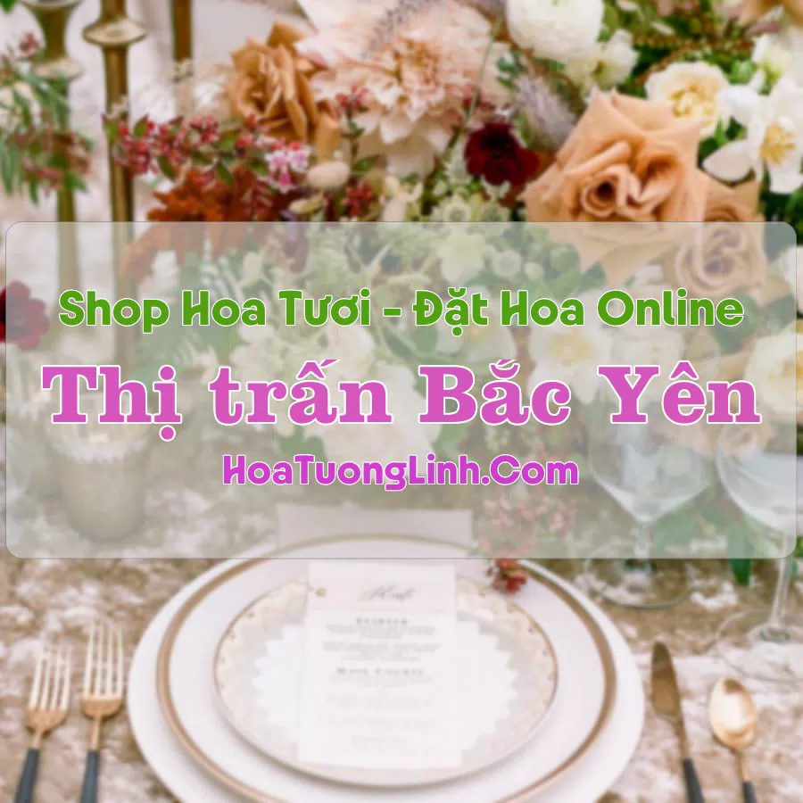 Shop Hoa Tươi Thị Trấn Bắc Yên – Sơn La