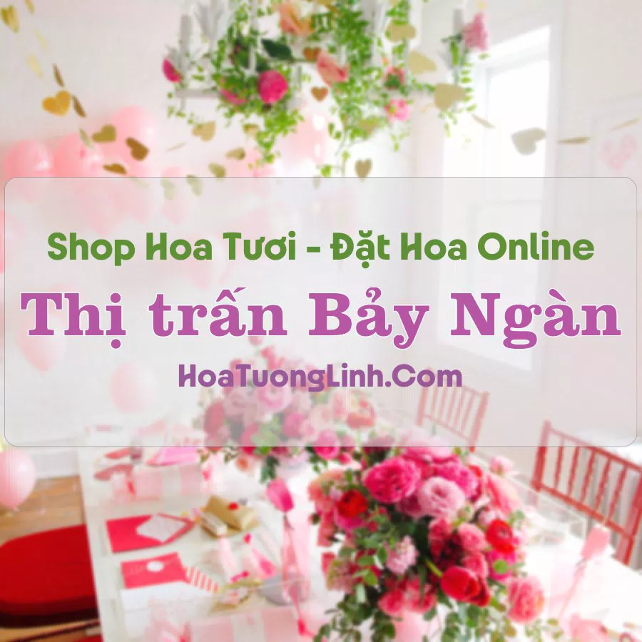 Shop Hoa Tươi Thị Trấn Bảy Ngàn – Hậu Giang