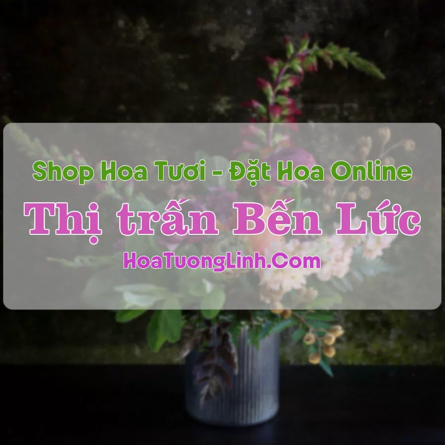 Shop Hoa Tươi Thị trấn Bến Lức – Long An