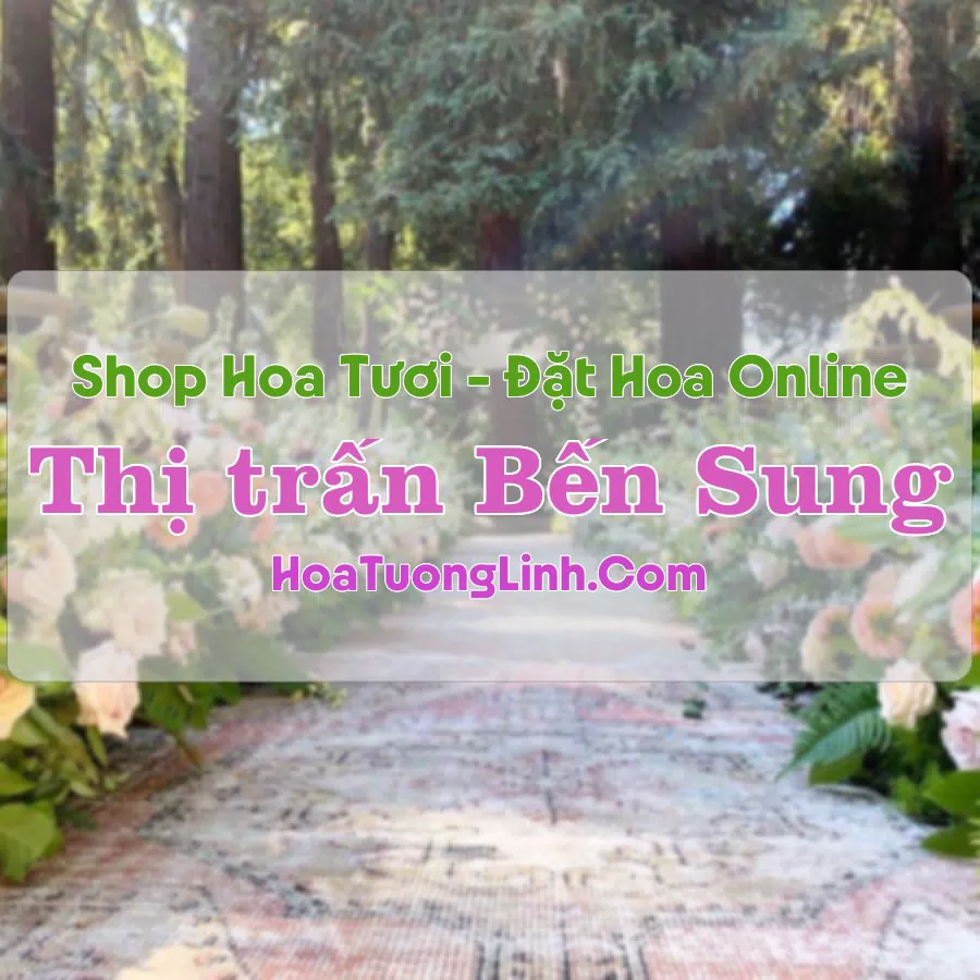 Shop Hoa Tươi Thị trấn Bến Sung – Thanh Hóa