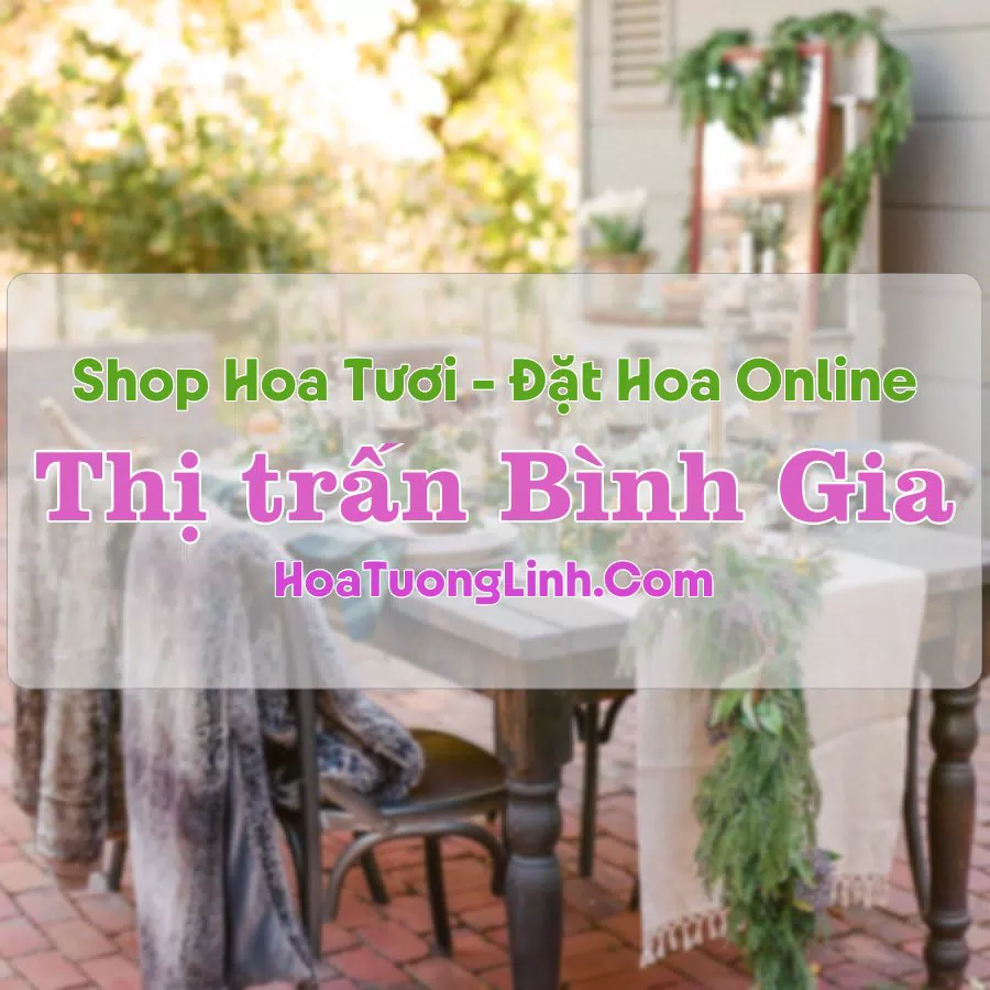 Shop Hoa Tươi Thị Trấn Bình Gia – Lạng Sơn