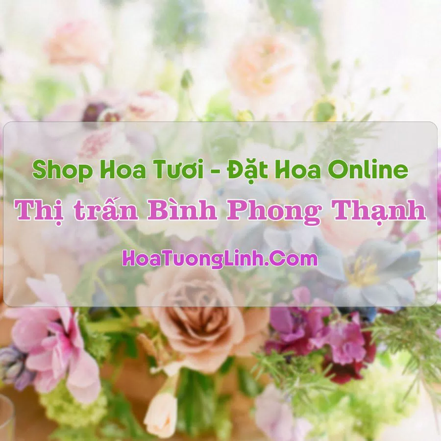 Shop Hoa Tươi Thị Trấn Bình Phong Thạnh – Long An