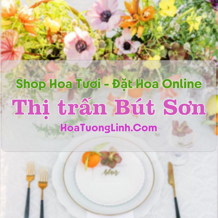Shop Hoa Tươi Thị Trấn Bút Sơn – Thanh Hóa
