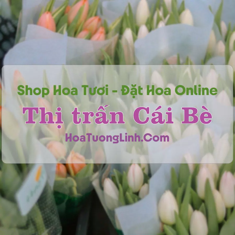 Shop Hoa Tươi Thị trấn Cái Bè – Tiền Giang