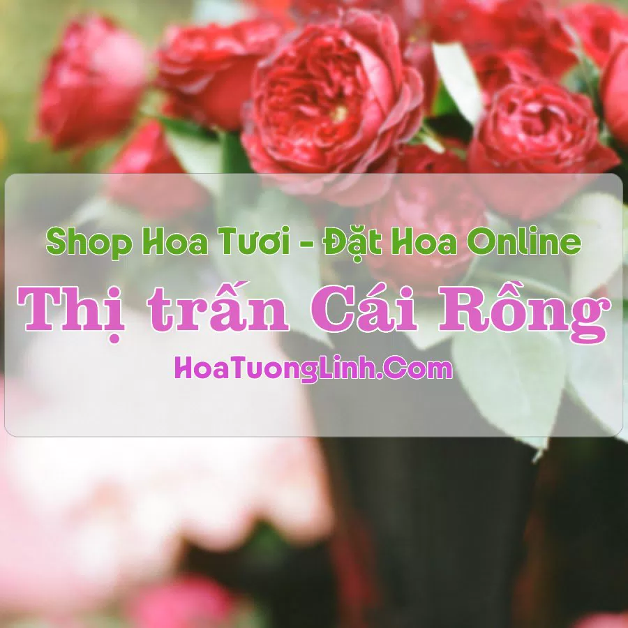 Shop Hoa Tươi Thị Trấn Cái Rồng – Vân Đồn