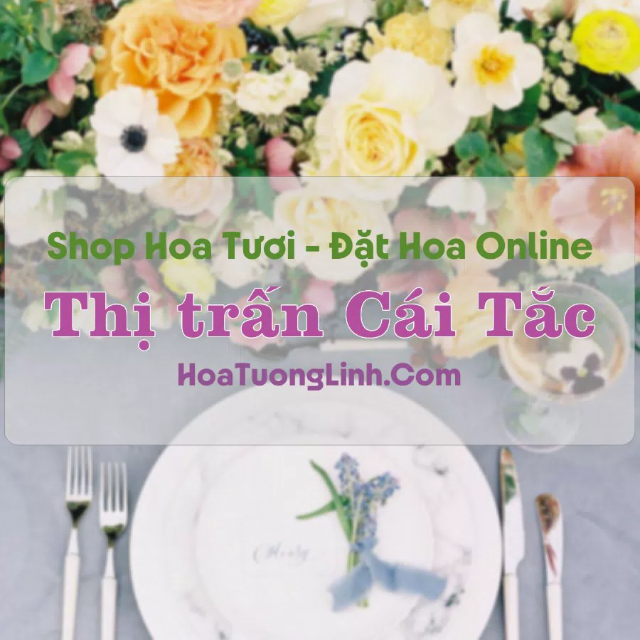 Shop Hoa Tươi Thị Trấn Cái Tắc – Hậu Giang