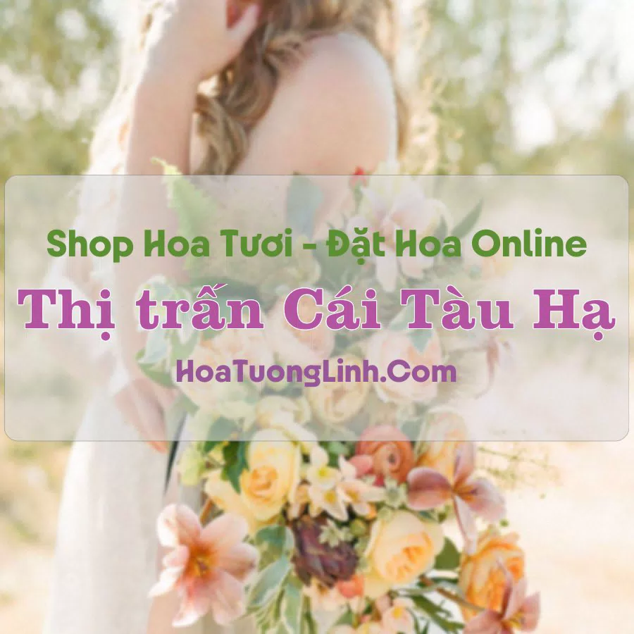 Shop Hoa Tươi Thị trấn Cái Tàu Hạ – Đồng Tháp