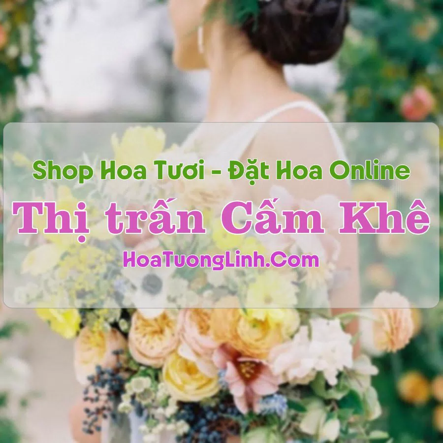 Shop Hoa Tươi Thị Trấn Cẩm Khê – Phú Thọ