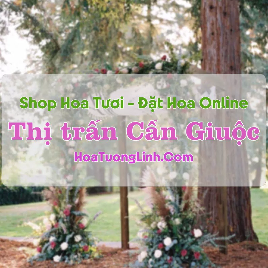 Shop Hoa Tươi Thị Trấn Cần Giuộc – Long An
