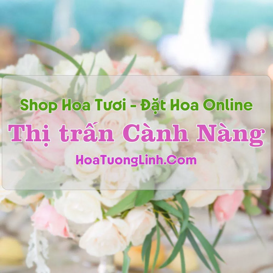 Shop Hoa Tươi Thị Trấn Cành Nàng – Thanh Hóa