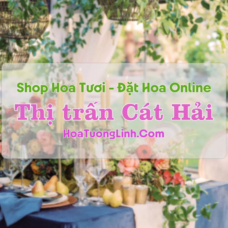Shop Hoa Tươi Thị Trấn Cát Hải – Hải Phòng